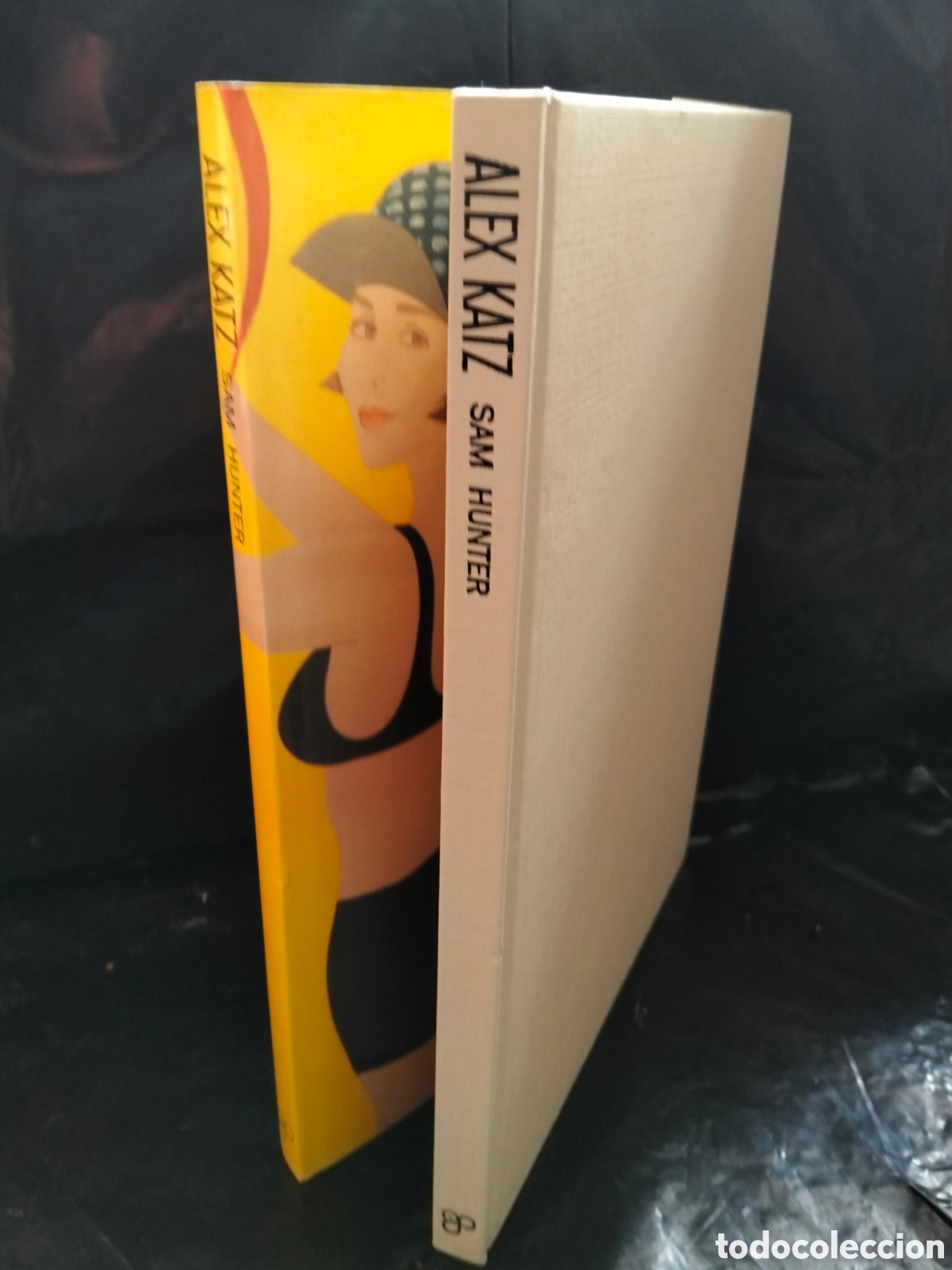 Libros: SAM HUNTER. ALEX KATZ .EDICIONES POL&Iacute;GRAFA - Foto 13