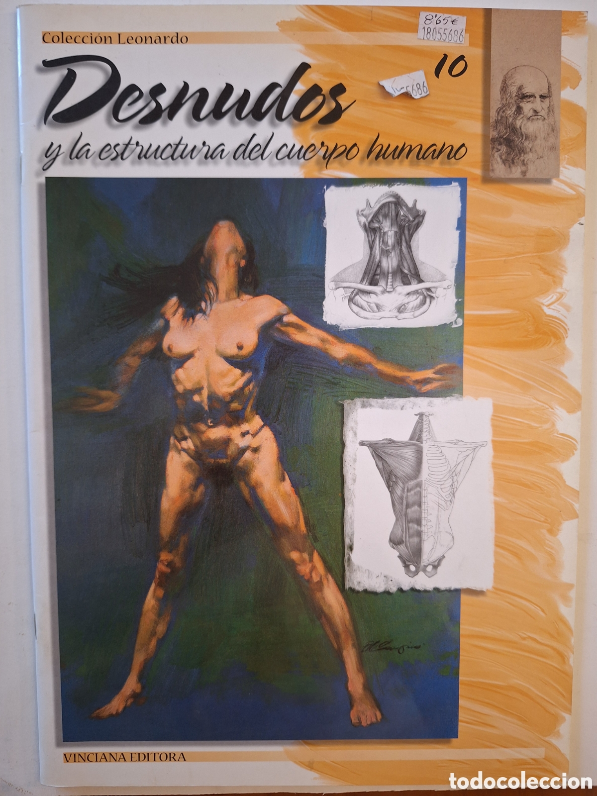 Libros: Colecci&oacute;n Leonardo 865&euro; 18055686 10 Desnudos 686 y la estructura del cuerpo humano
