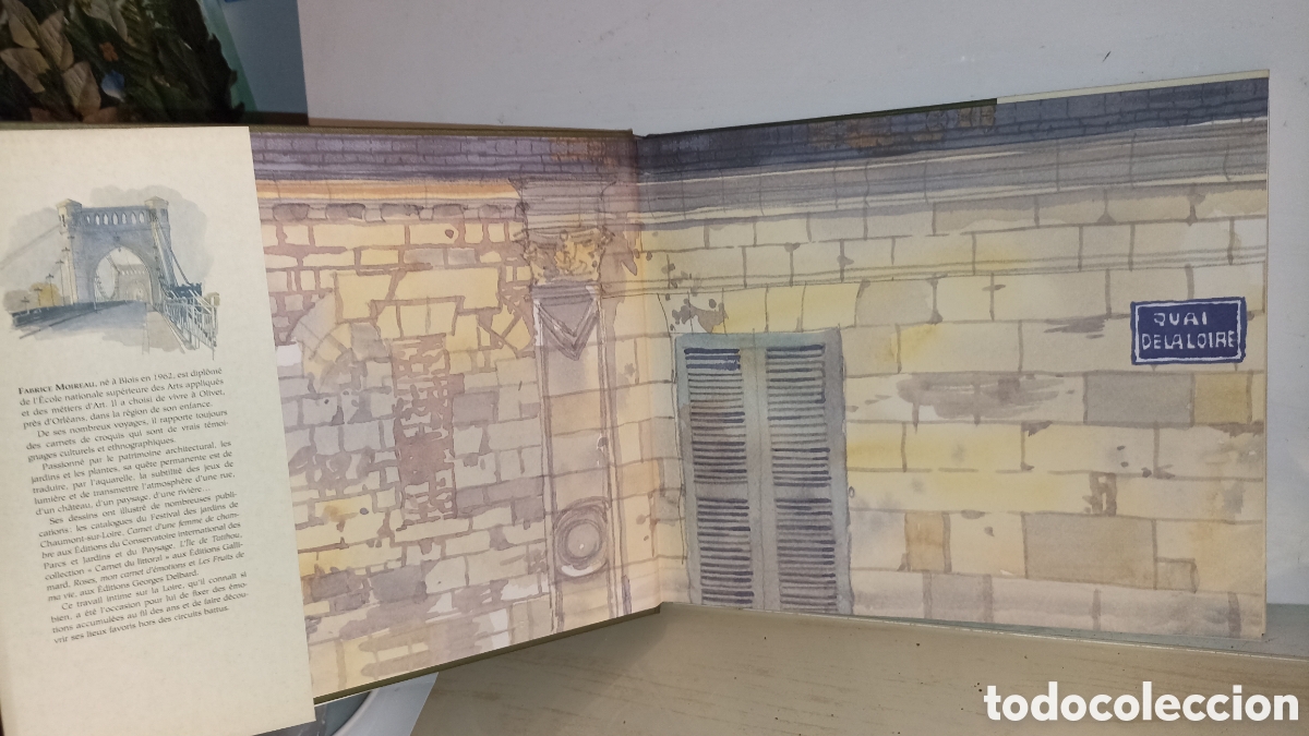 Libros: Vall&eacute;e de la Loire: Aquarelles&rdquo;el libro en franc&eacute;s - Foto 2