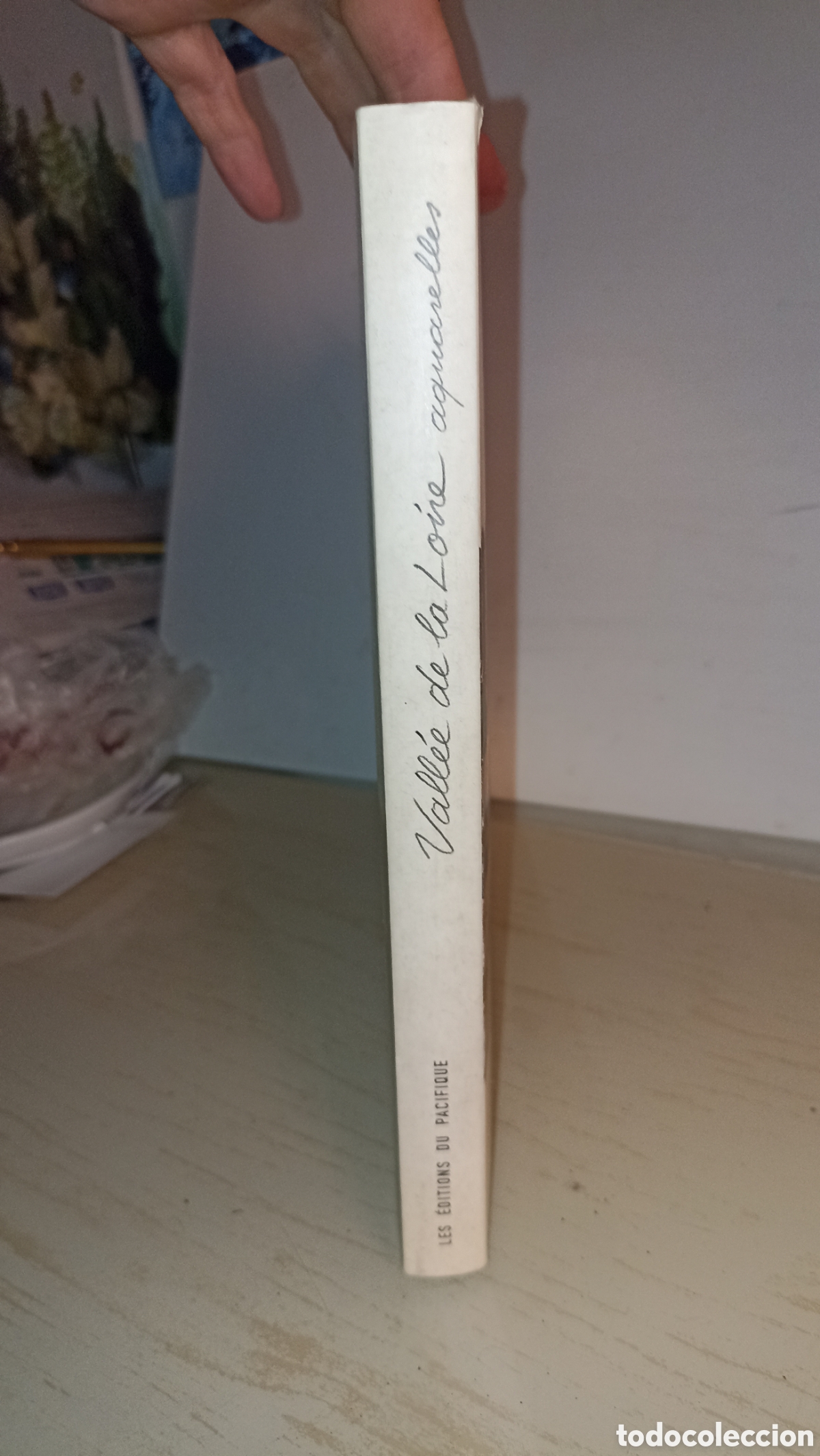 Libros: Vall&eacute;e de la Loire: Aquarelles&rdquo;el libro en franc&eacute;s - Foto 10