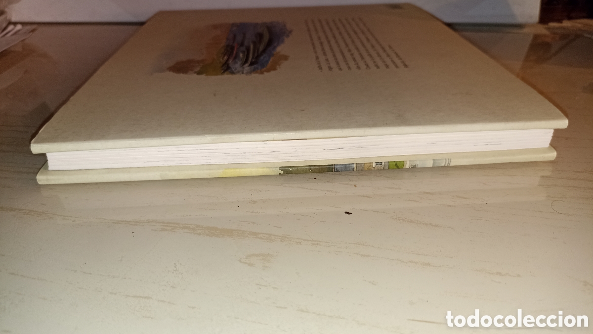 Libros: Vall&eacute;e de la Loire: Aquarelles&rdquo;el libro en franc&eacute;s - Foto 11