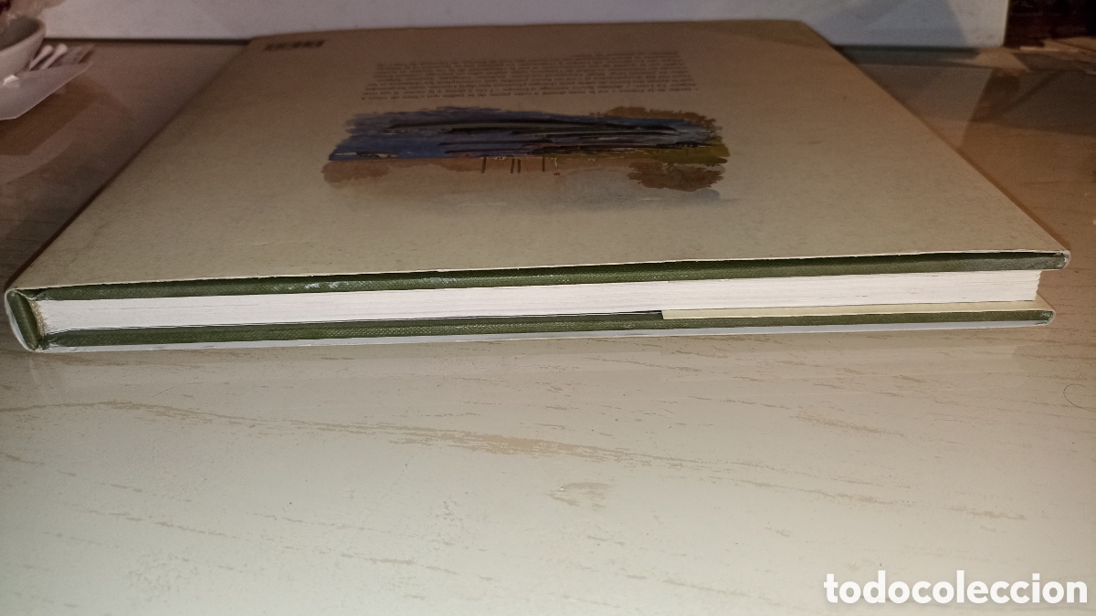 Libros: Vall&eacute;e de la Loire: Aquarelles&rdquo;el libro en franc&eacute;s - Foto 12