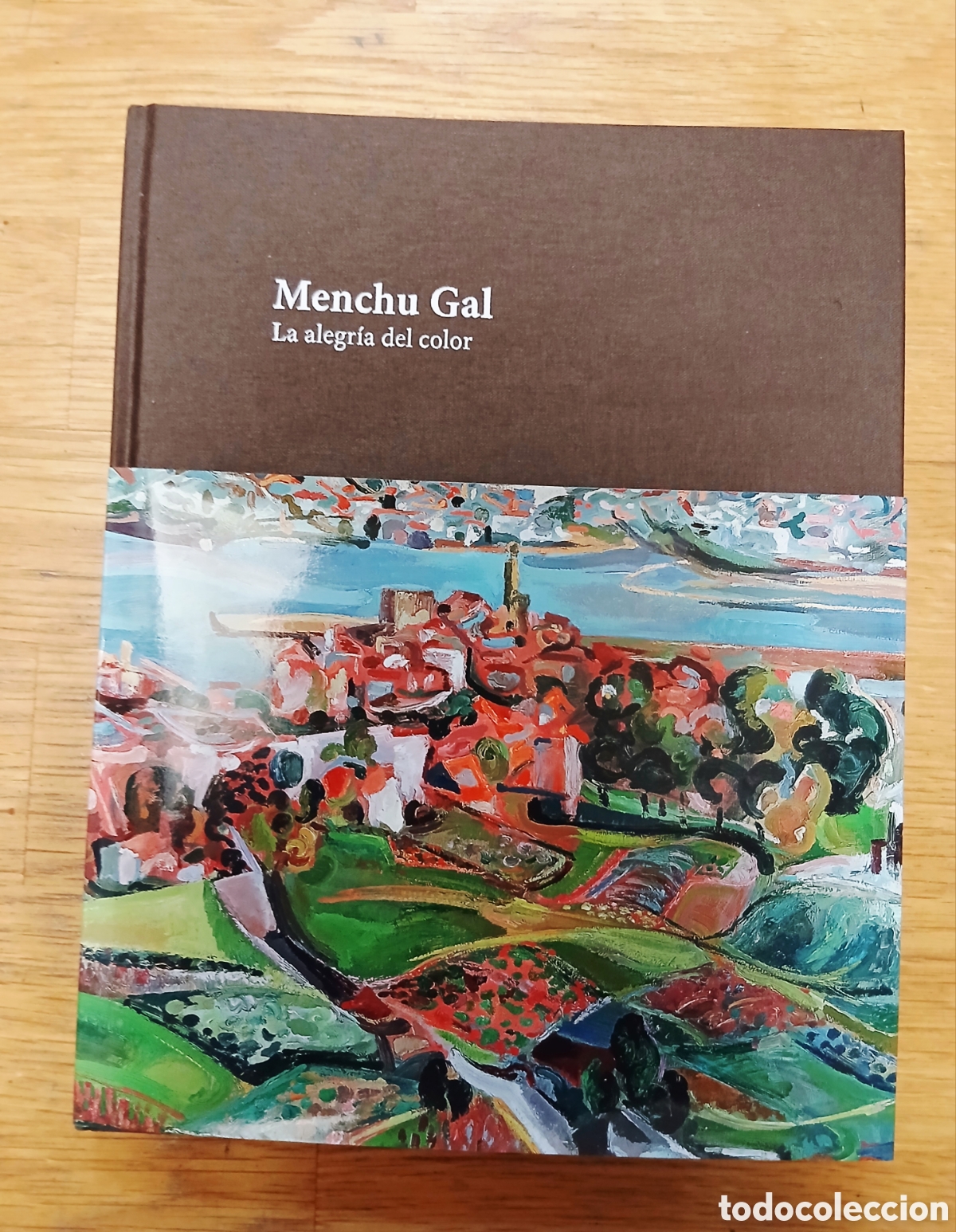 Libros: Menchu Gal. La alegr&iacute;a del color AUTOR: Francisco Javier Zubiaur Carre&ntilde;o EDITA: Fundaci&oacute;n Menchu Gal