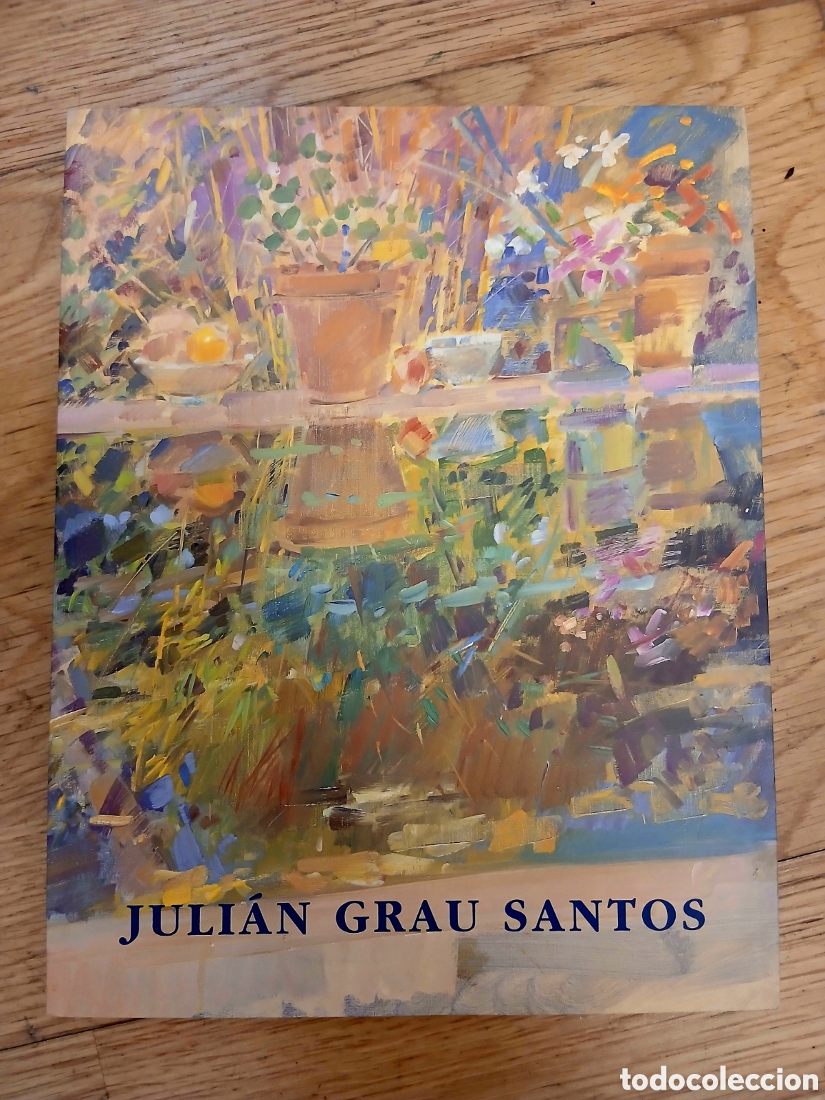 Libros: LIBRO / CAT&Aacute;LOGO MONOGR&Aacute;FICO - JULI&Aacute;N GRAU SANTOS - FUNDACI&Oacute;N CULTURAL MAPFRE VIDA - ILUSTRADO