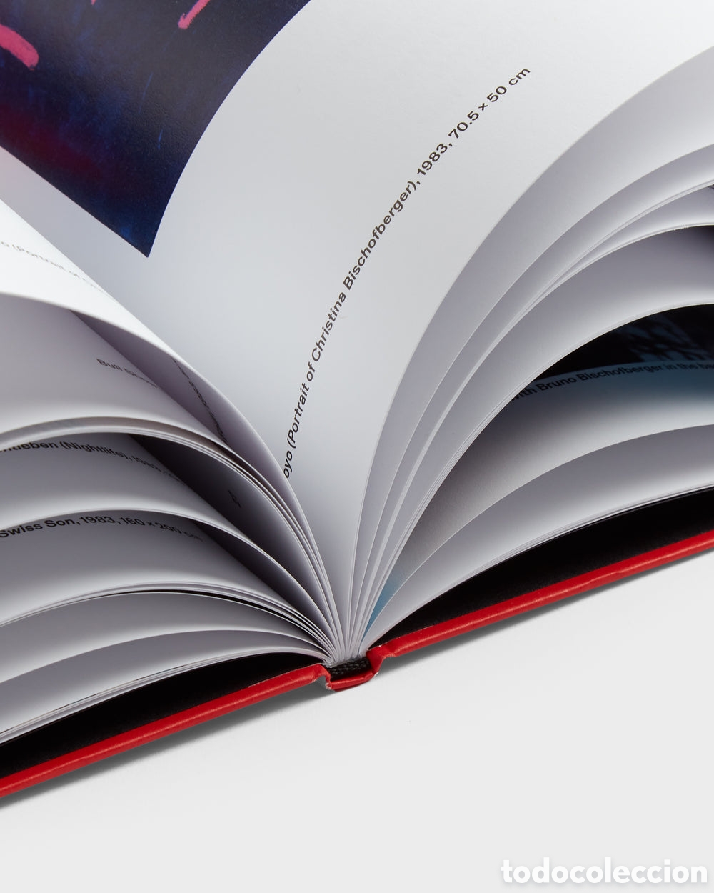 Libros: Jean-Michel Basquiat: Engadin - Foto 11