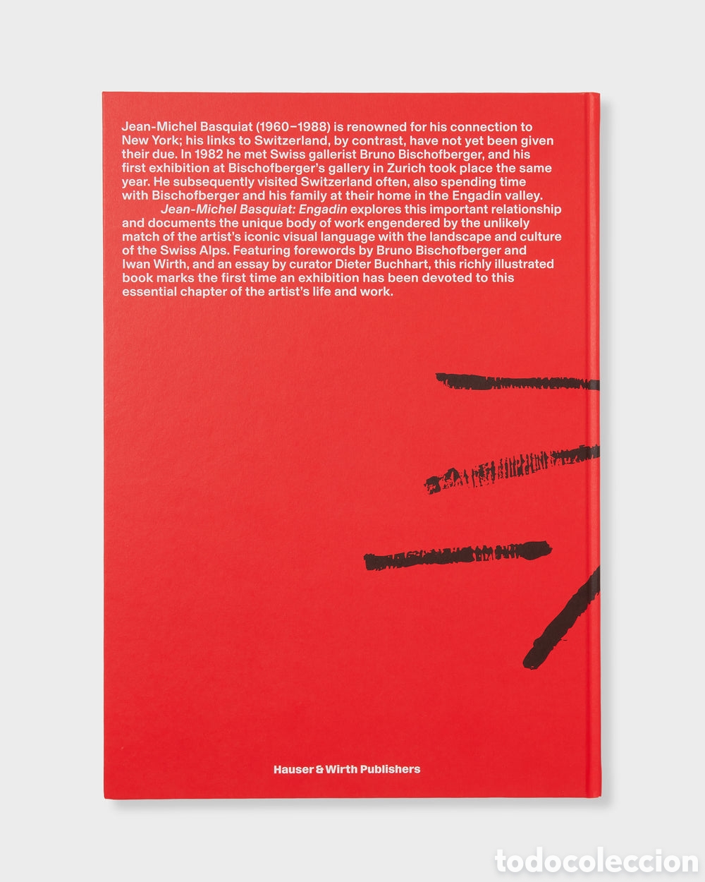 Libros: Jean-Michel Basquiat: Engadin - Foto 15