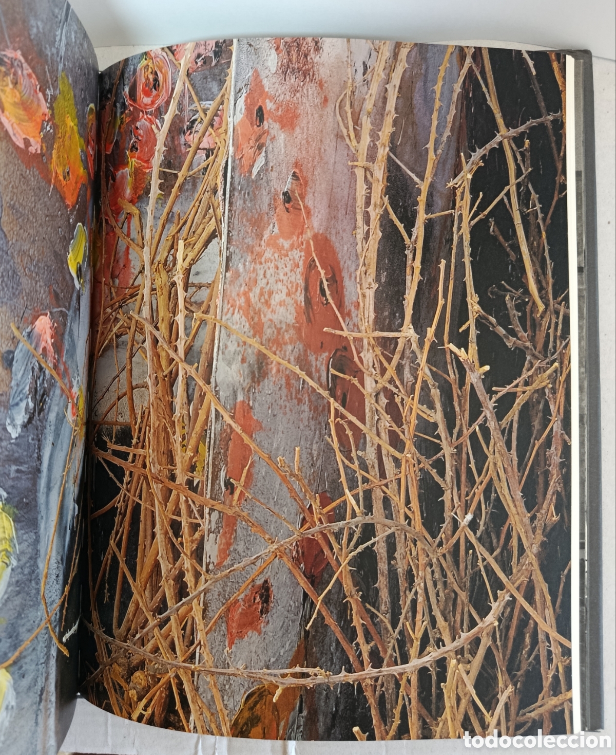 Libros: Anselm Kiefer: Maria durch ein Dornwald ging - Foto 9