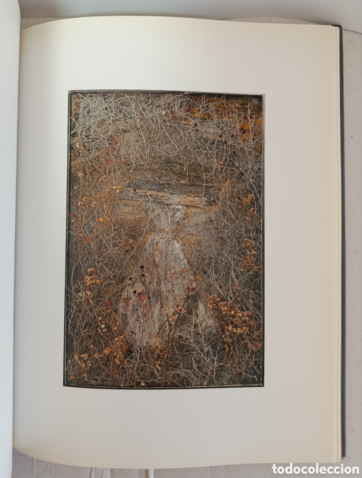 Libros: Anselm Kiefer: Maria durch ein Dornwald ging - Foto 13