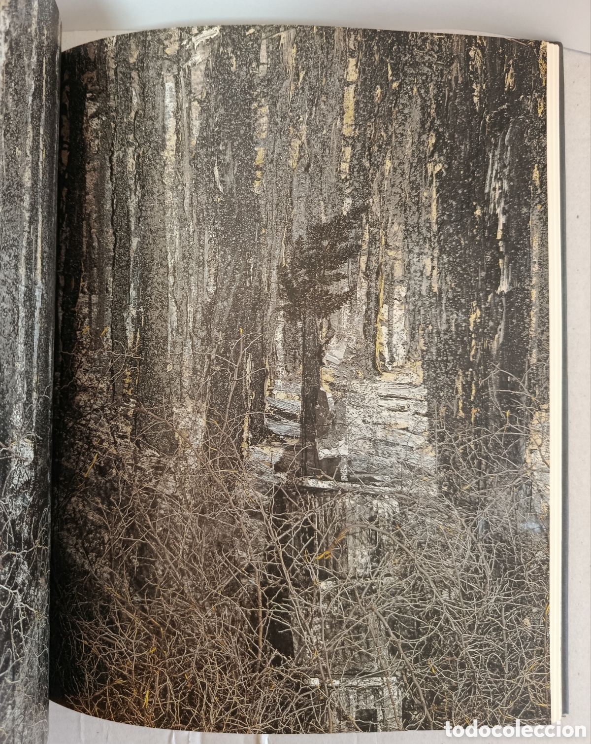 Libros: Anselm Kiefer: Maria durch ein Dornwald ging - Foto 14