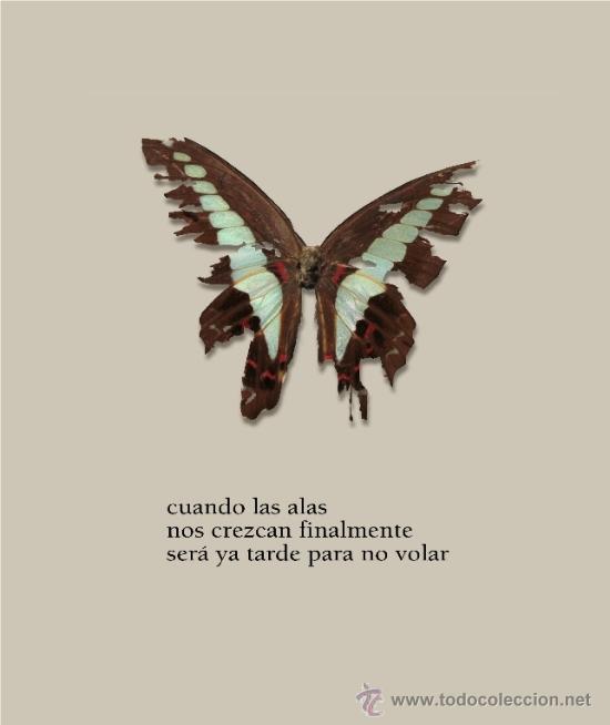 Libros: DAVID HERRANZ : SILENTE (STI ediciones, 2013) - Foto 2