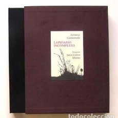 Libros: GAMONEDA, ANTONIO; MESTRE, JUAN CARLOS - LAPIDARIO INCOMPLETO - PRIMERA EDICIÓN
