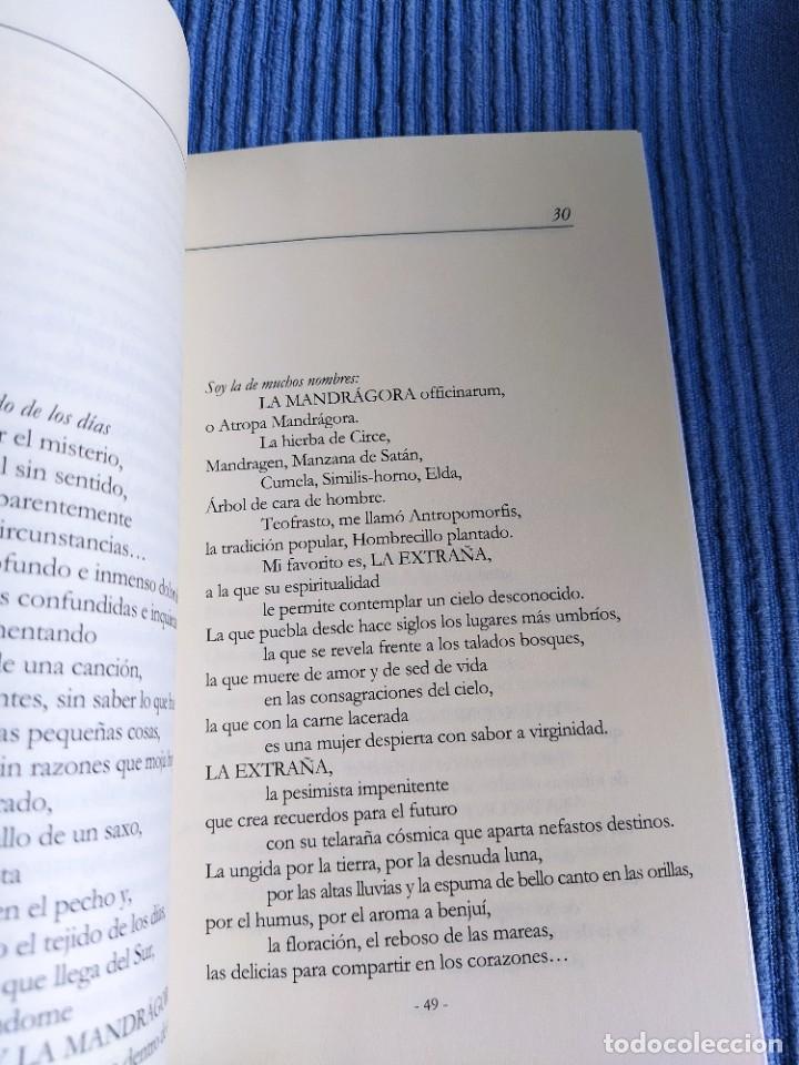 Libros: libro de poemas LIT y la mandragora - Foto 2