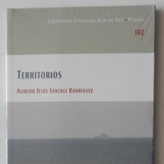 Libros: TERRITORIOS - ALFREDO JESÚS SÁNCHEZ RODRÍGUEZ / BAM DIPUTACIÓN DE CIUDAD REAL 2021