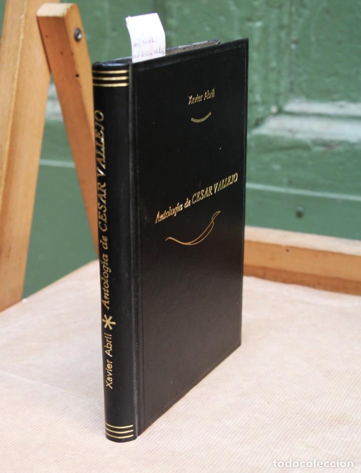 Libros: A BRIL Xavier.antologia de cesar vallejo - Foto 2