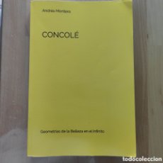 Libros: ANDRES MONTERO CONCOLE GEOMETRIAS DE LA BELLEZA EN EL INFINITO