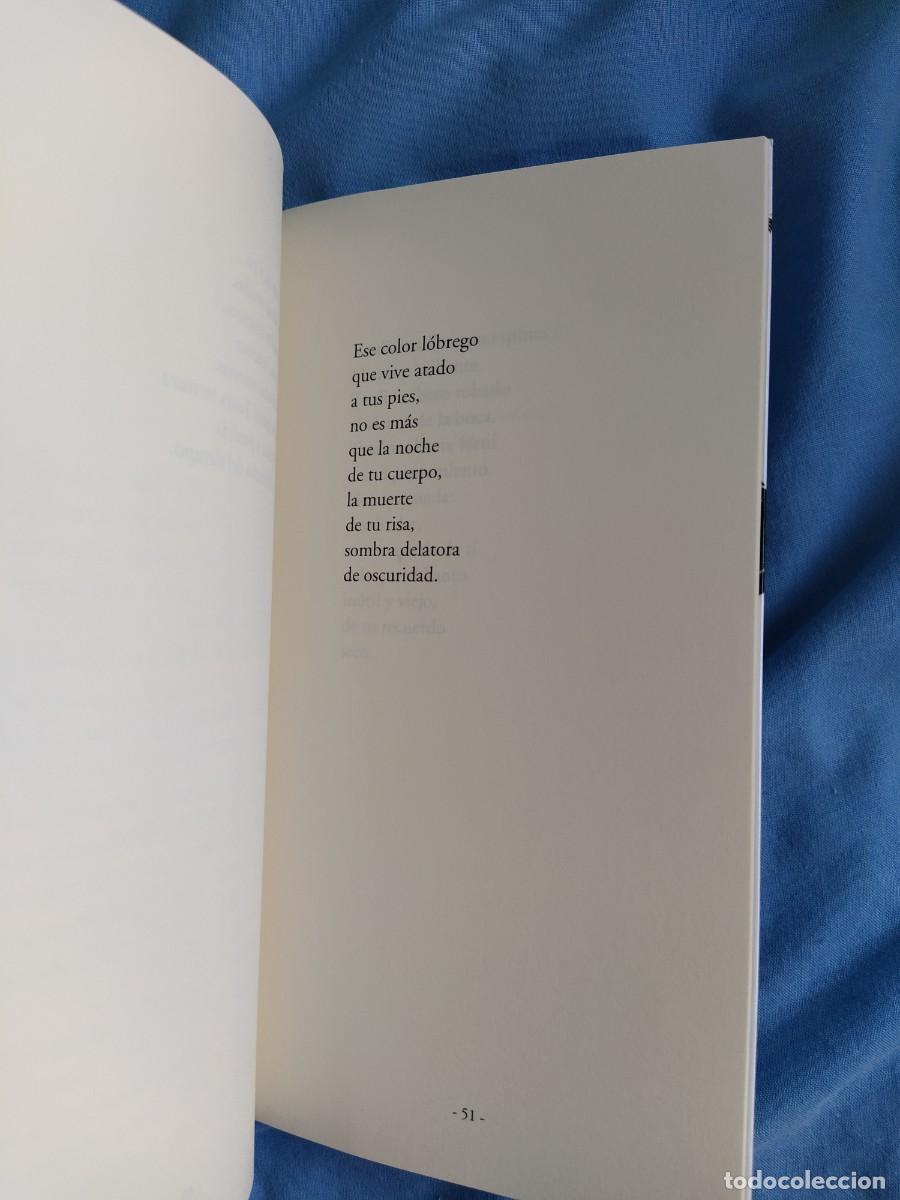 Libros: Libro trazos - Foto 2
