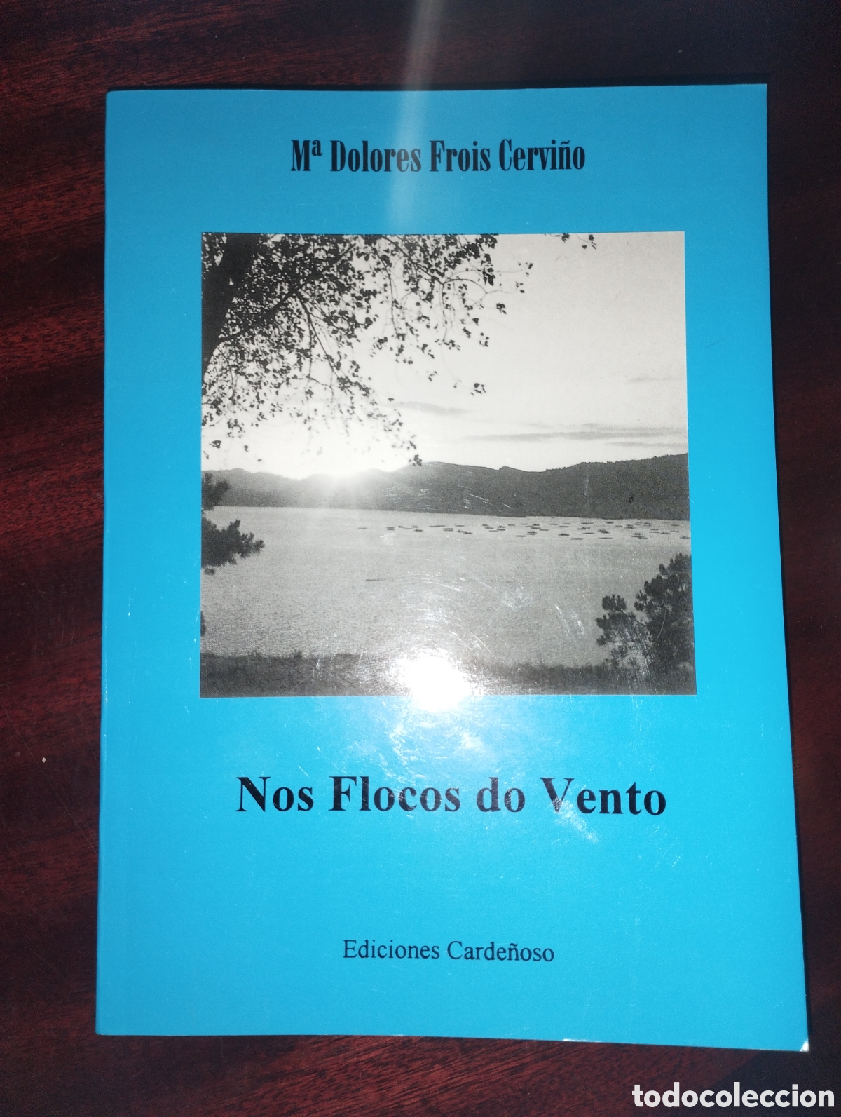 Libros: Nos flocos do vento ( dedicatoria de la autora) - Foto 1