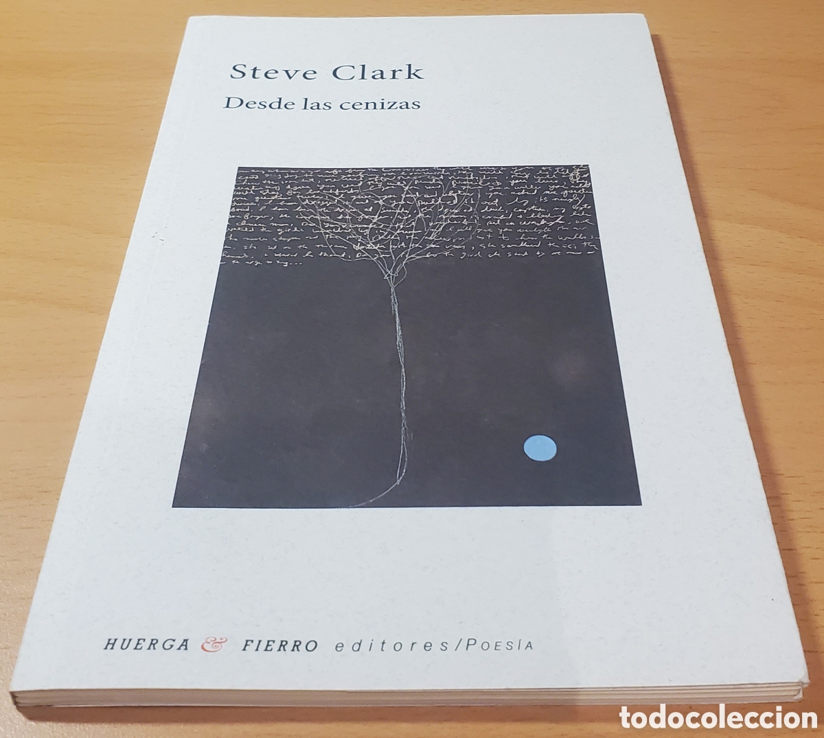 Libros: Desde las cenizas - Steve Clark - Foto 1