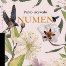 Libros: NUMEN - ACEVEDO, PABLO