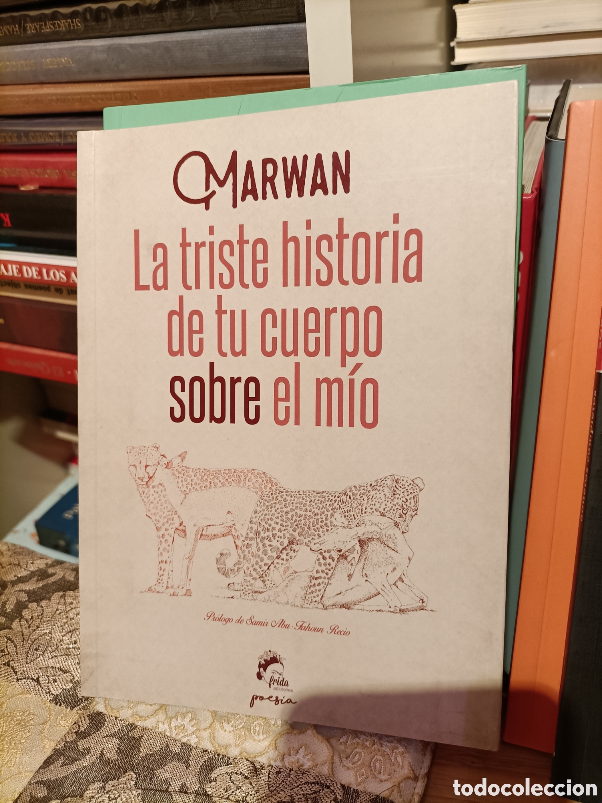 Libros: LOTE 4Libros de Poes&iacute;a - Foto 8