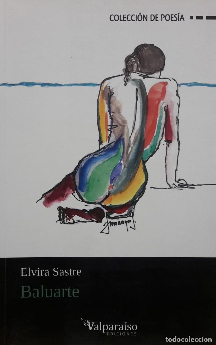 Libros: Baluarte, Elvira Sastre, Valpara&iacute;so - Foto 1