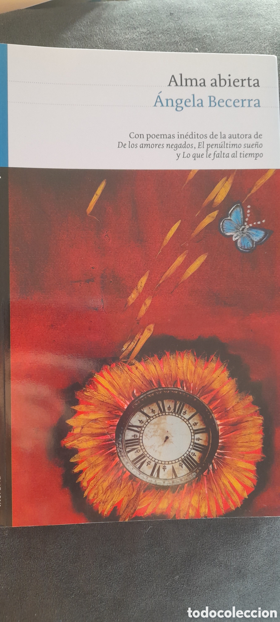 Libros: Alma abierta. Angela Becerra - Foto 1
