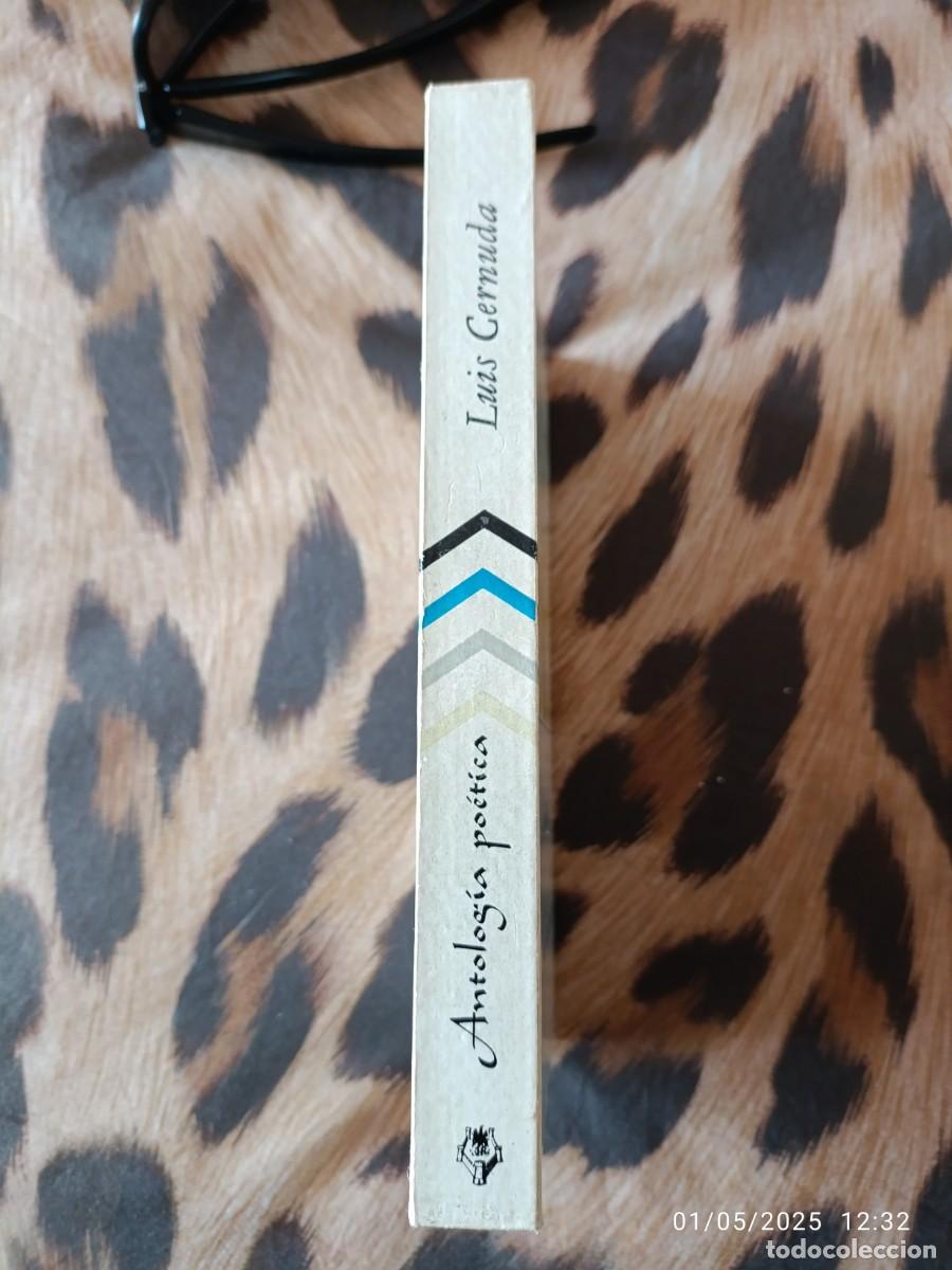 Libros: Antolog&iacute;a po&eacute;tica. Luis Cernuda - Foto 2