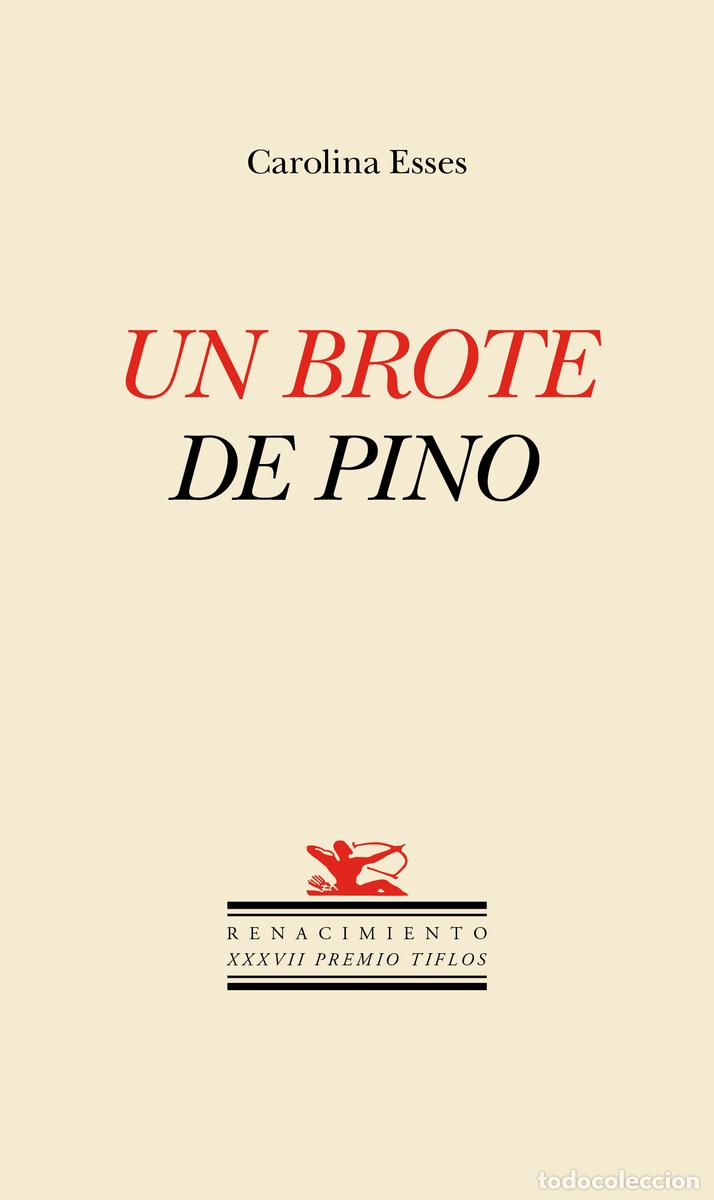 Libros: Un brote de pino. Carolina Esses - Foto 1