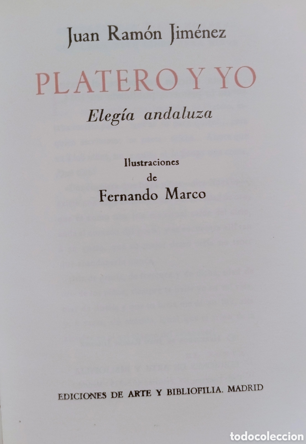 Libros: PLATERO Y YO. FACS&Iacute;MIL - Foto 3