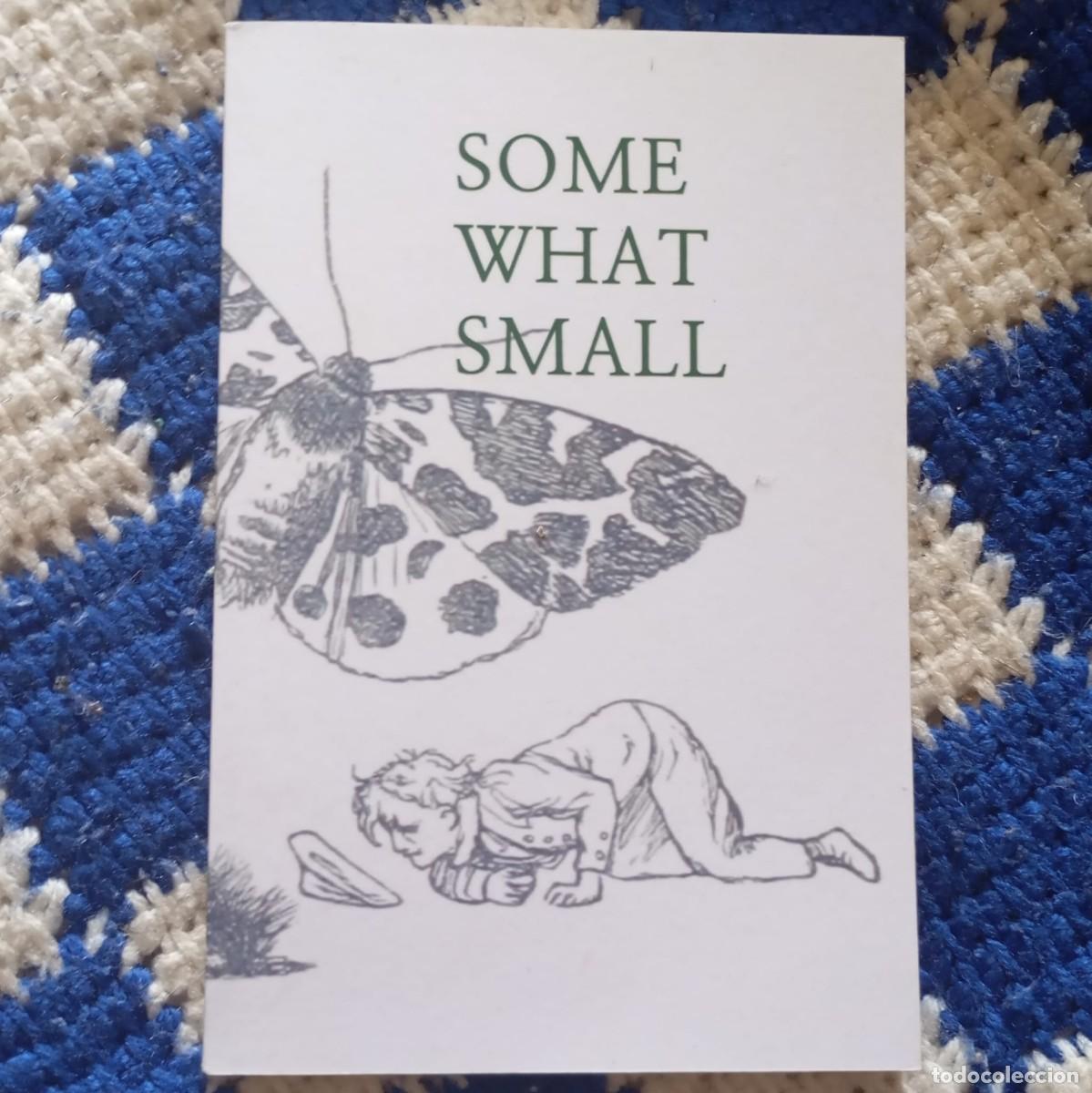 Libros: SOMEWHAT SMALL - TREV CIMENSKI (ENGLISH) - Foto 1
