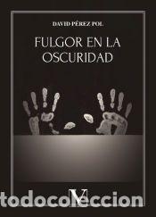 Libros: Fulgor en la oscuridad - David P&eacute;rez Pol - Foto 1