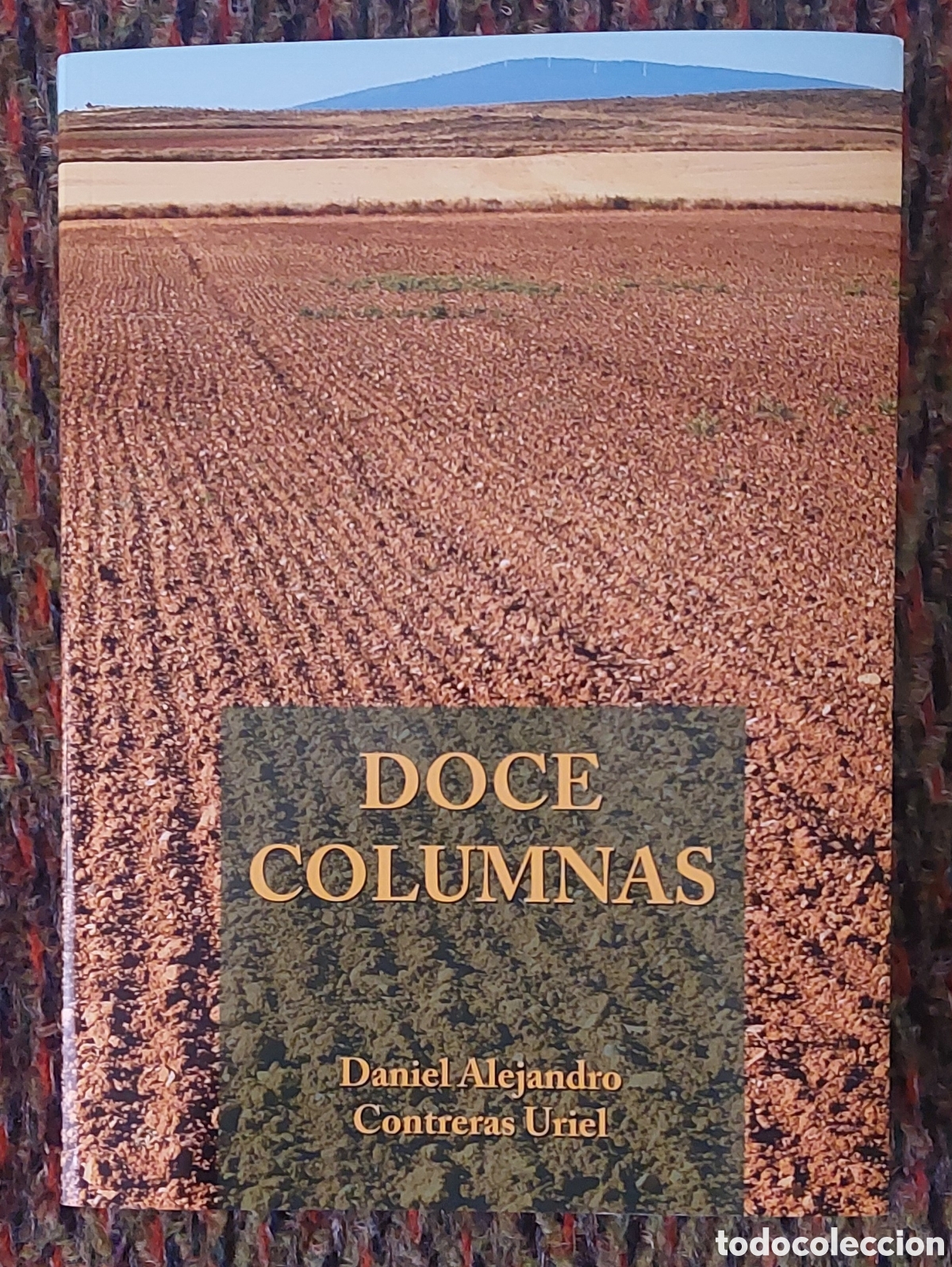 Libros: Poemario Doce Columnas