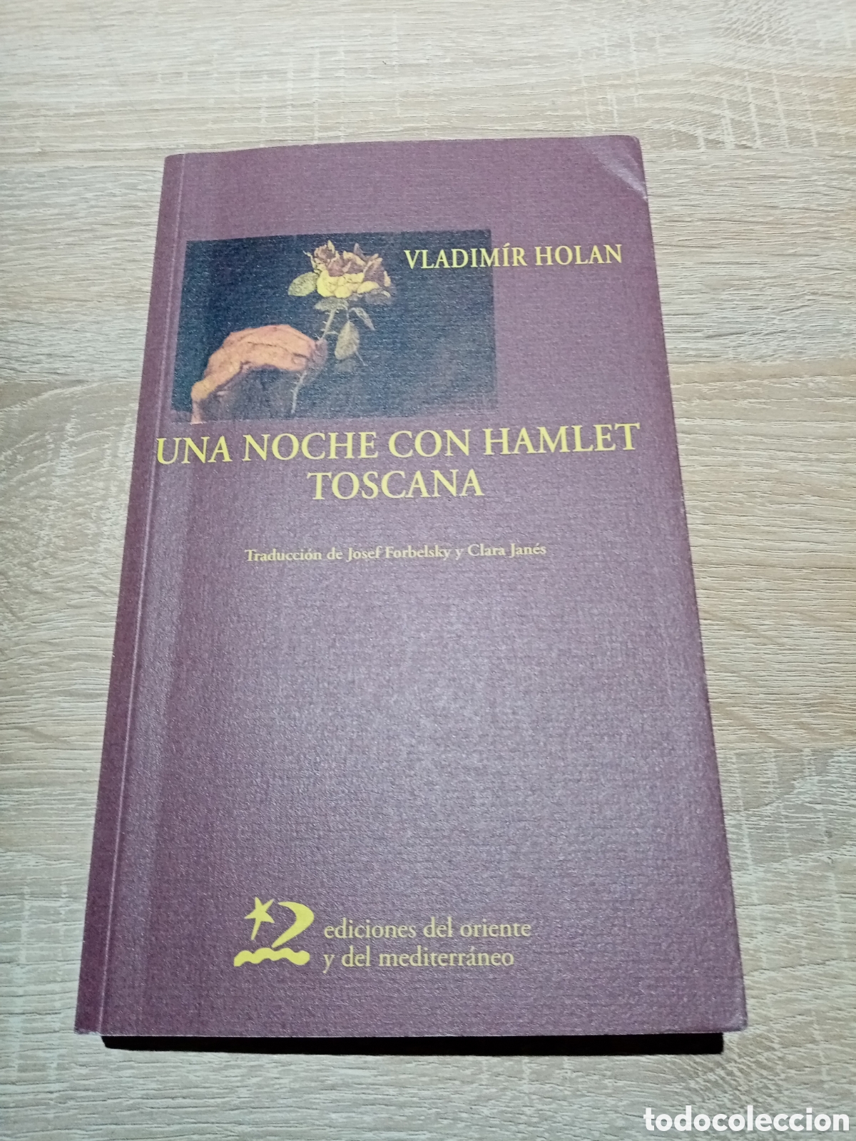 Libros: UNA NOCHE CON HAMLET, TOSCANA, VLADIMIR HOLAN