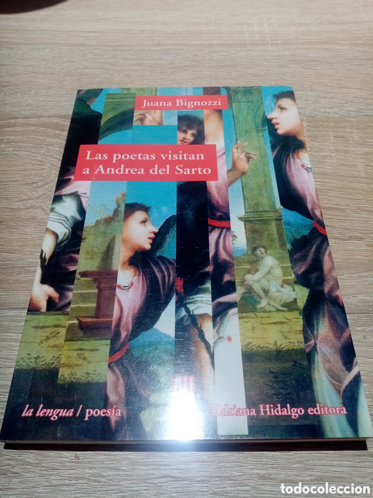 Libros: JUANA BIGNOZZI, LAS POETAS VISITAN A ANDREA DEL SARTO