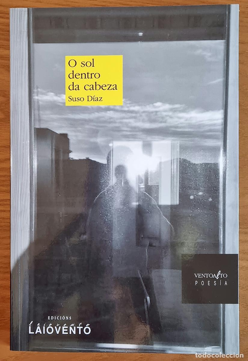 Libros: O sol dentro da cabeza (76 poemas escritos a partir das lecturas da obra narrativa de Carlos Casare)
