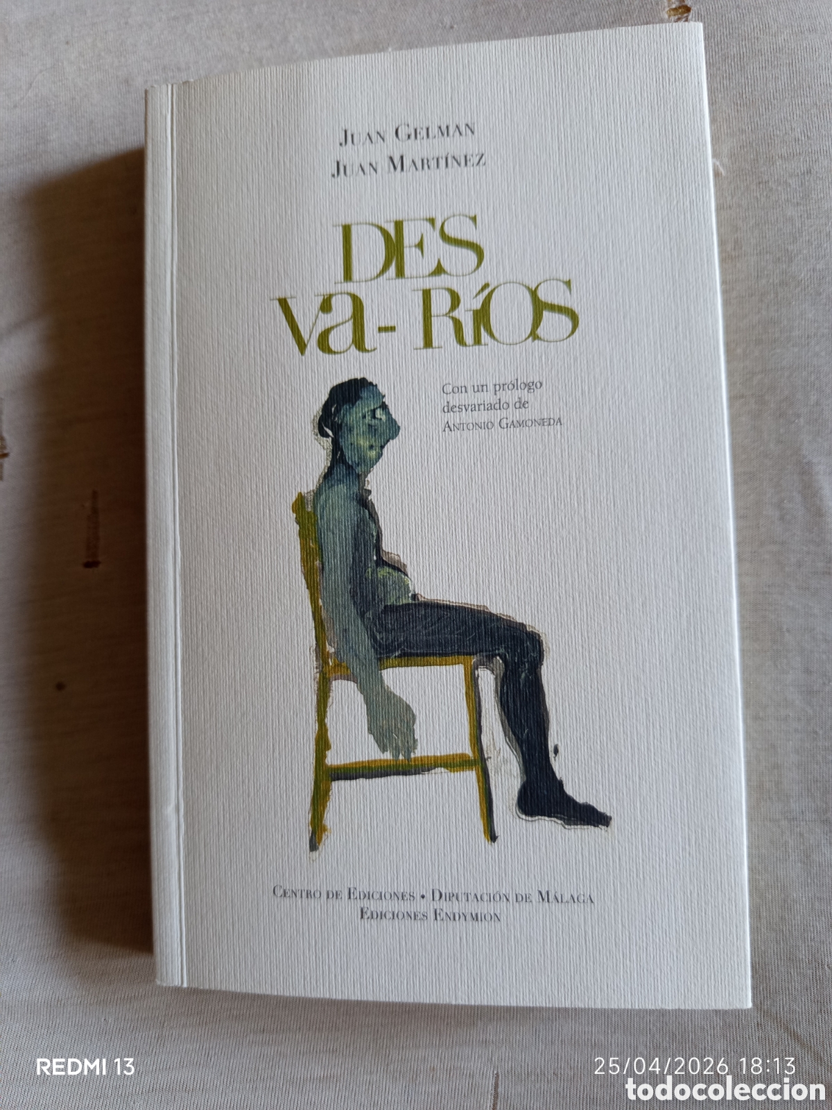 Libros: DESVA-R&Iacute;OS. Poes&iacute;a. Juan Gelman...