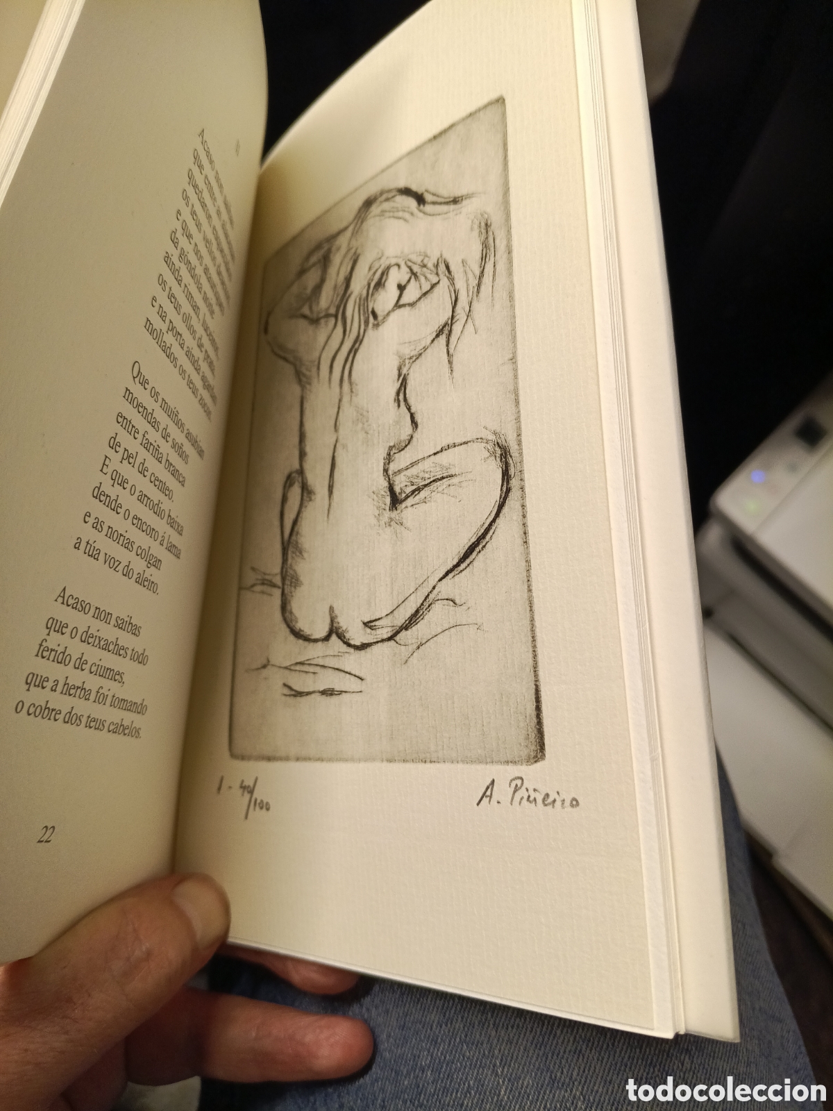 Libros: Tr&aacute;nsitos de la colecci&oacute;n Bourel 2 - Foto 3