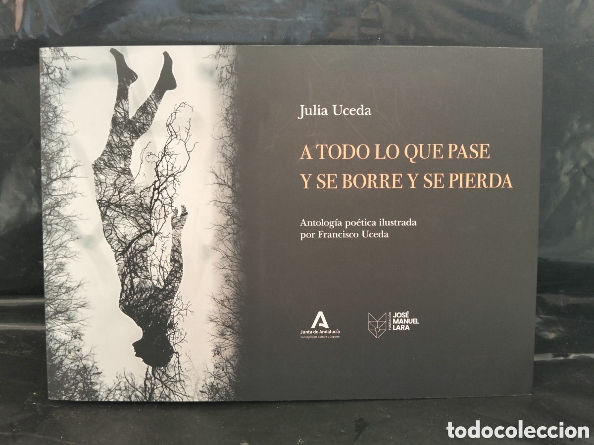 Libros: JULIA UCEDA. A TODO LO QUE PASE Y SE BORRE Y SE PIERDA (ANTOLOG&Iacute;A PO&Eacute;TICA) .JUNTA DE ANDALUC&Iacute;A