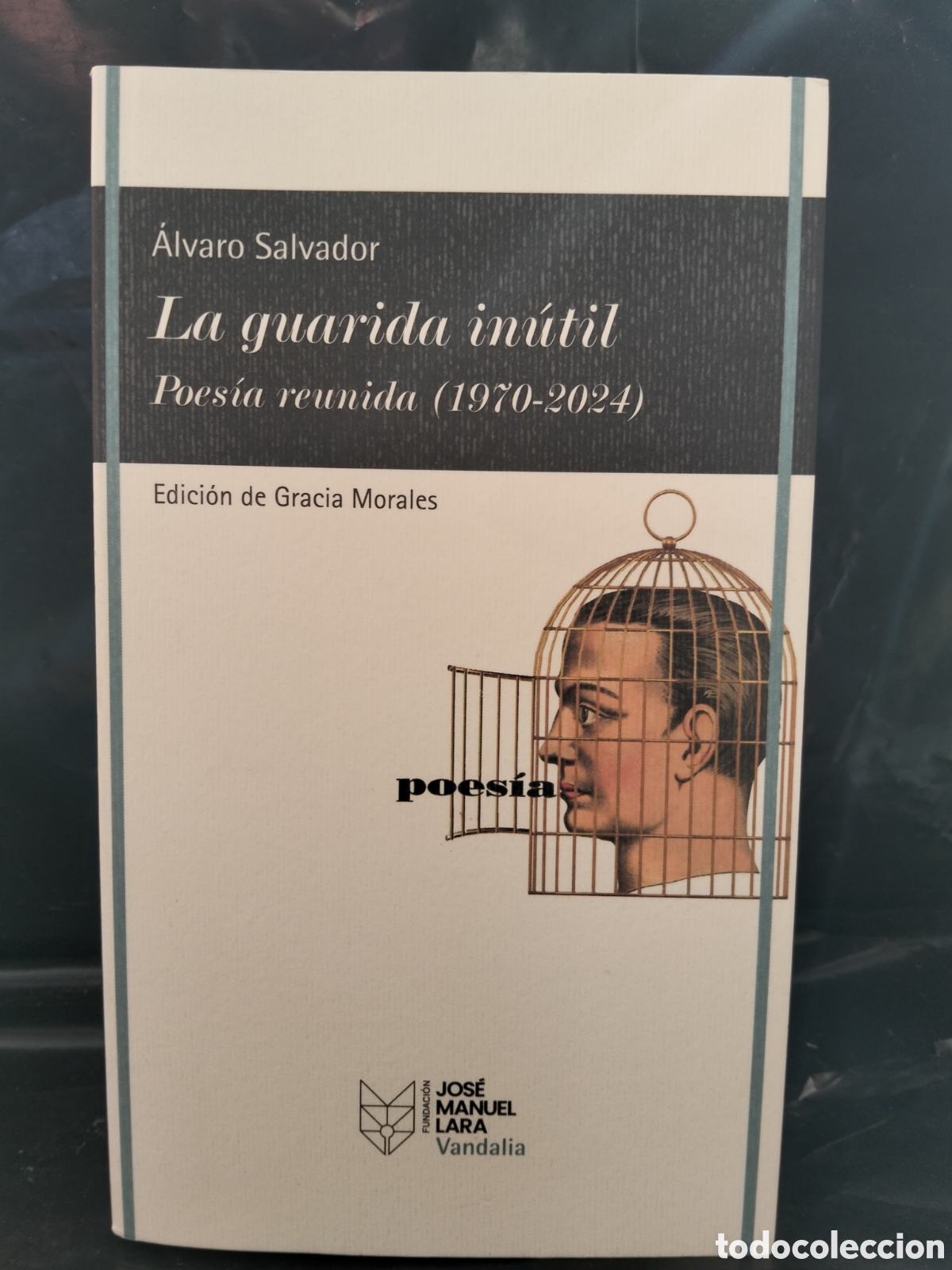 Libros: &Aacute;LVARO SALVADOR. LA GUARIDA IN&Uacute;TIL// POES&Iacute;A REUNIDA (1970-2024) .VANDALIA