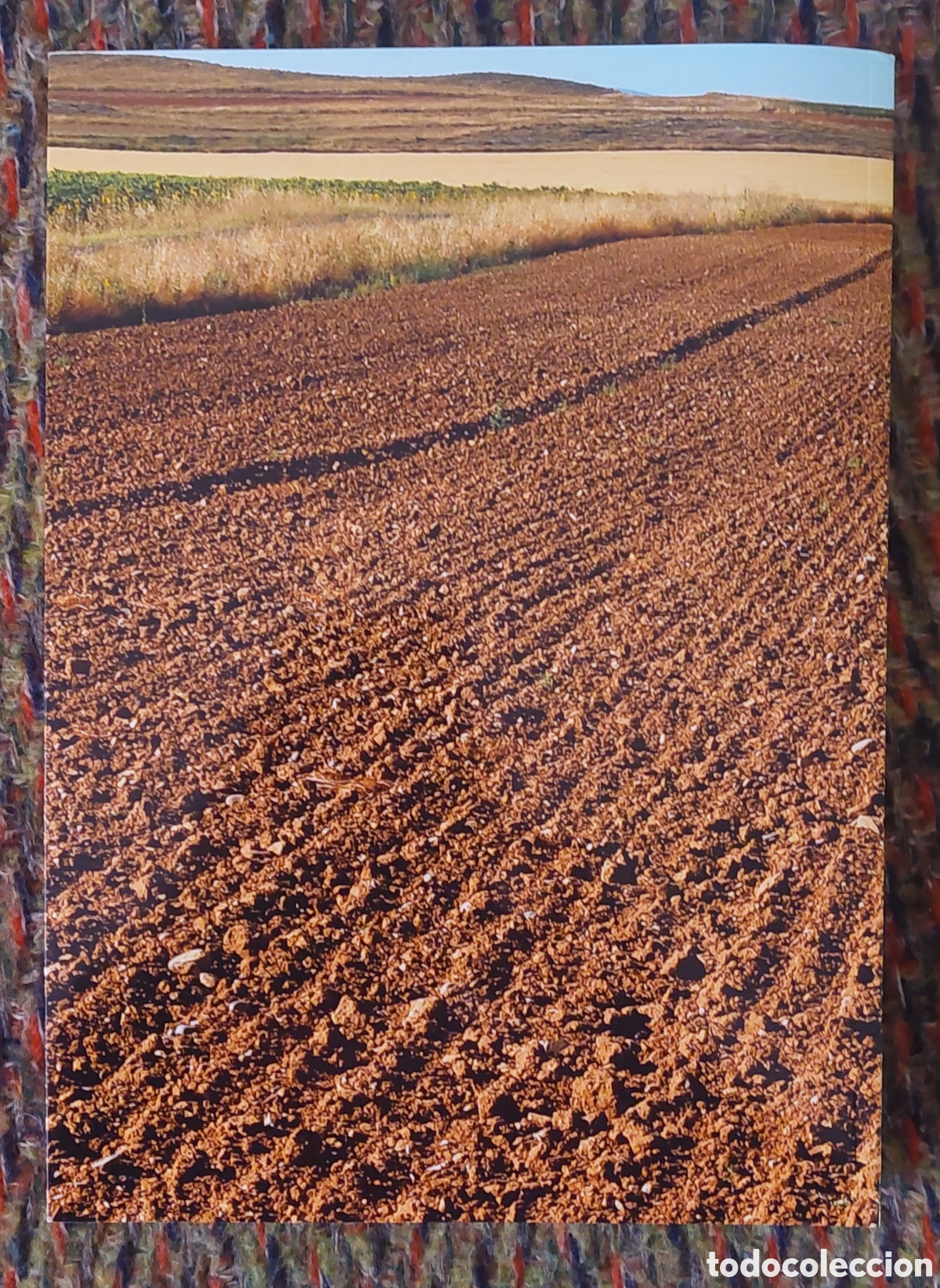 Libros: Poemario Doce Columnas - Foto 2