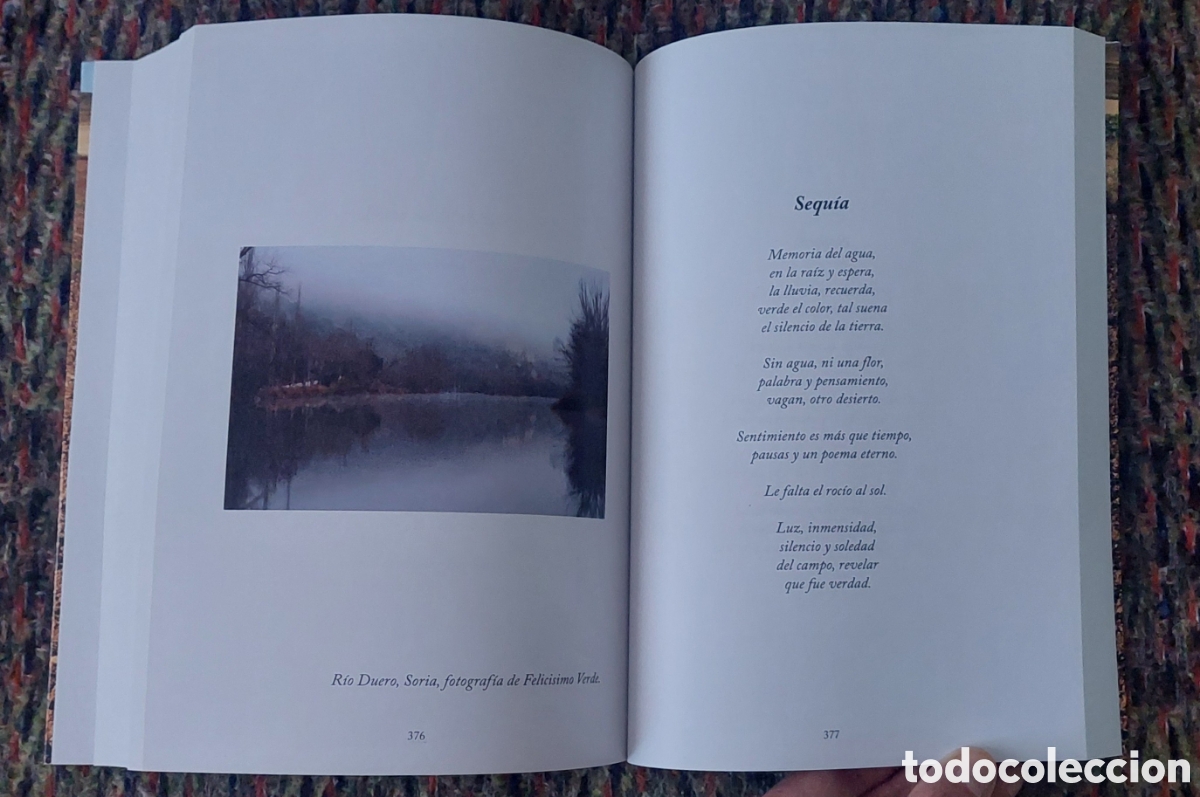 Libros: Poemario Doce Columnas - Foto 4