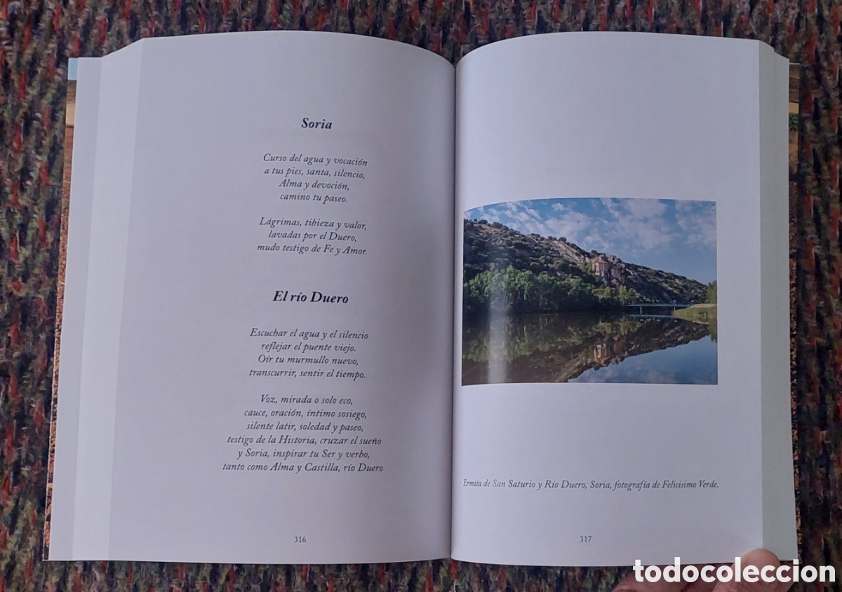 Libros: Poemario Doce Columnas - Foto 5