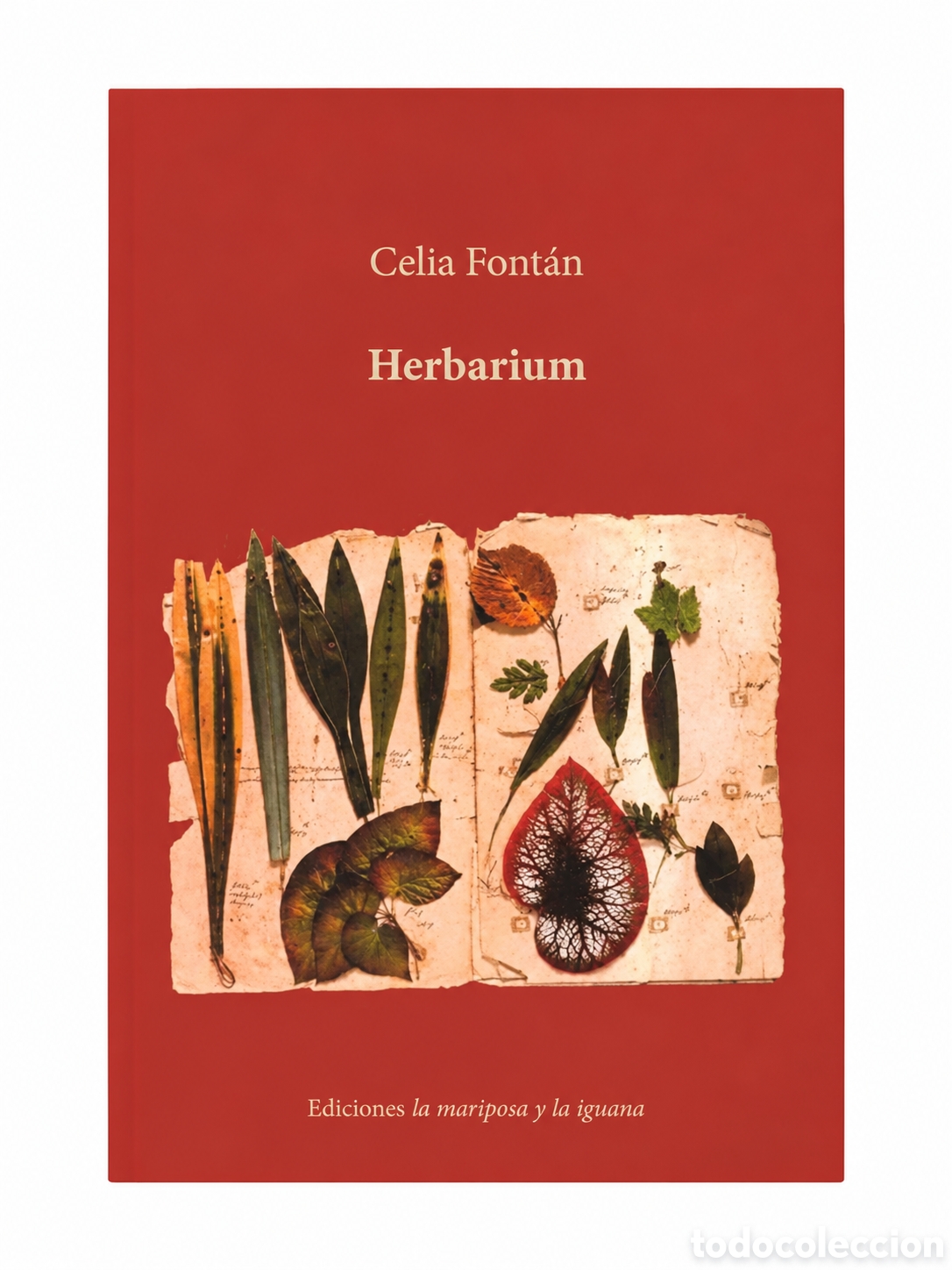 Libros: CELIA FONT&Aacute;N &ndash; HERBARIUM &ndash; LA MARIPOSA Y LA IGUANA &ndash; 2018 &ndash; LMD