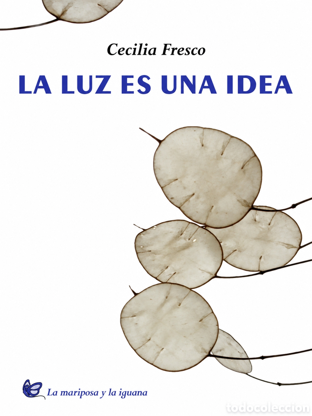 Libros: CECILIA FRESCO &ndash; LA LUZ ES UNA IDEA &ndash; LA MARIPOSA Y LA IGUANA &ndash; 2024 &ndash; LMD