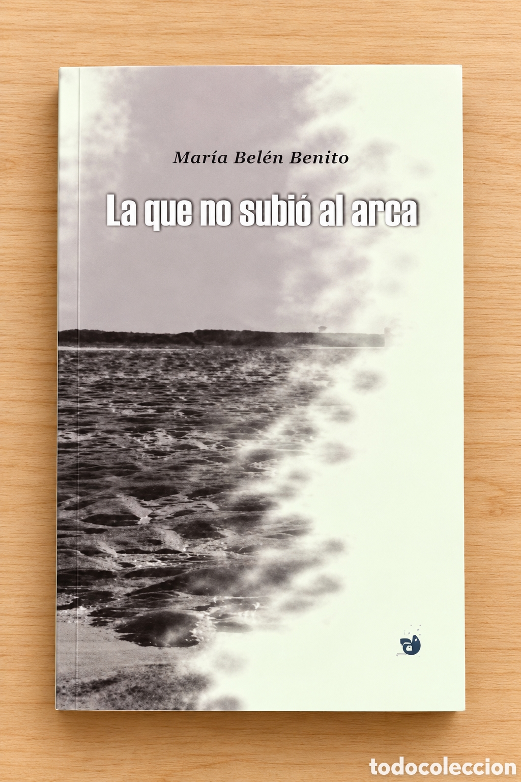 Libros: MAR&Iacute;A BEL&Eacute;N BENITO &ndash; LA QUE NO SUBI&Oacute; AL ARCA &ndash; LA MARIPOSA Y LA IGUANA &ndash; LMD