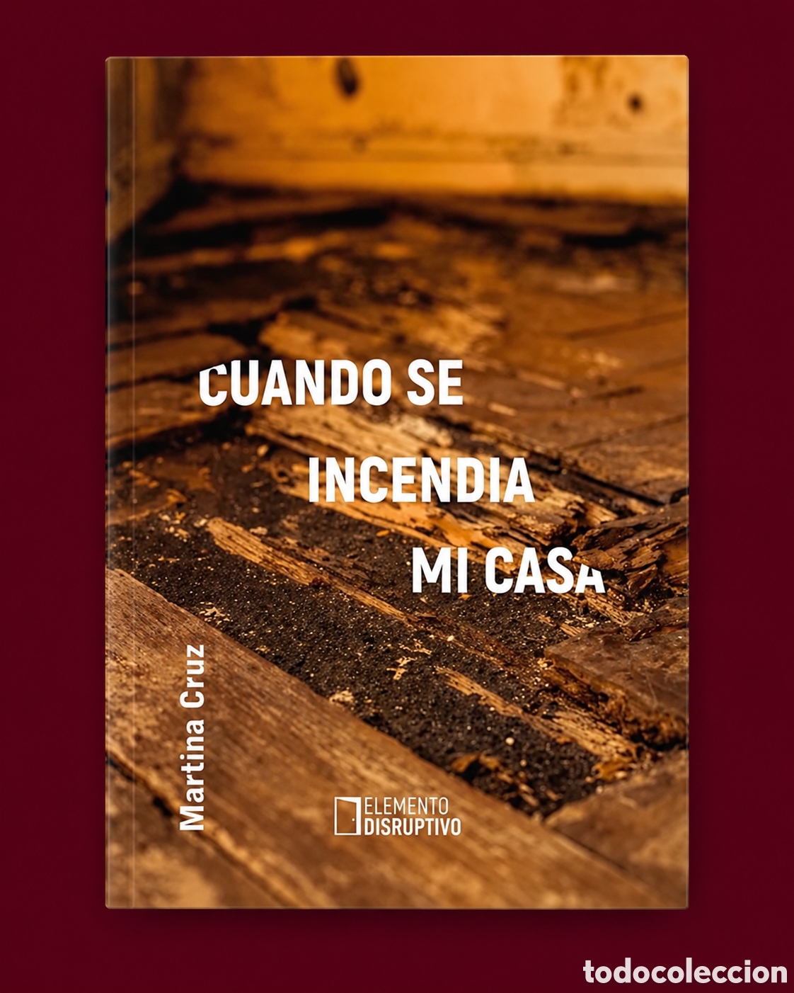 Libros: MARTINA CRUZ &ndash; CUANDO SE INCENDIA MI CASA &ndash; ELEMENTO DISRUPTIVO &ndash; LMD