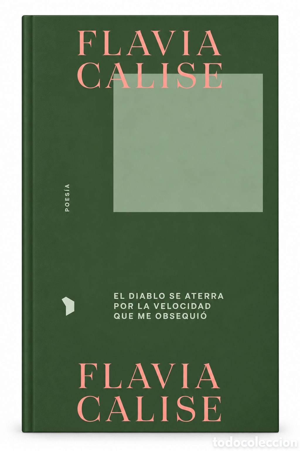 Libros: FLAVIA CALISE &ndash; EL DIABLO SE ATERRA POR LA VELOCIDAD QUE ME OBSEQUI&Oacute; &ndash; HEX&Aacute;GONO EDITORAS &ndash; LMD