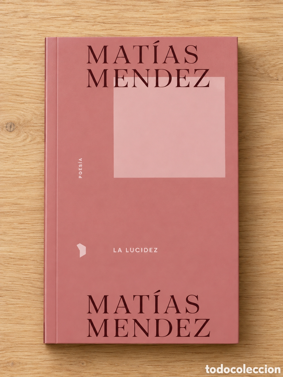 Libros: MAT&Iacute;AS MENDEZ &ndash; LA LUCIDEZ &ndash; HEX&Aacute;GONO EDITORAS &ndash; LMD