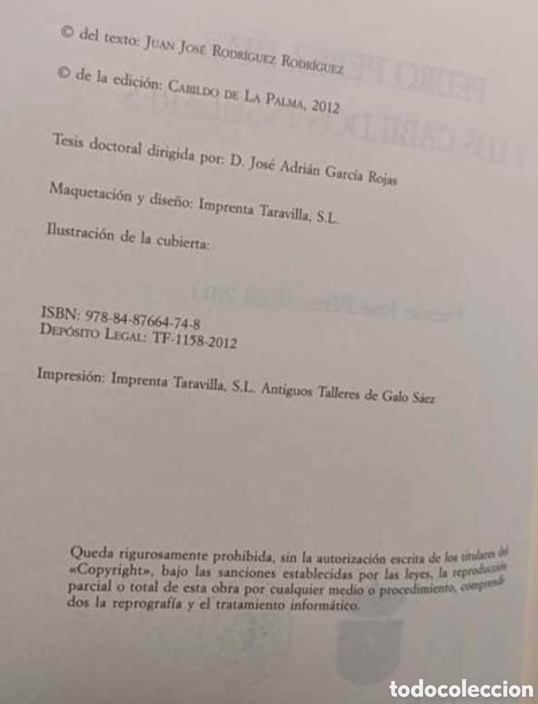 Libros: Pedro P&eacute;rez D&iacute;az y los Cabildos - Foto 9