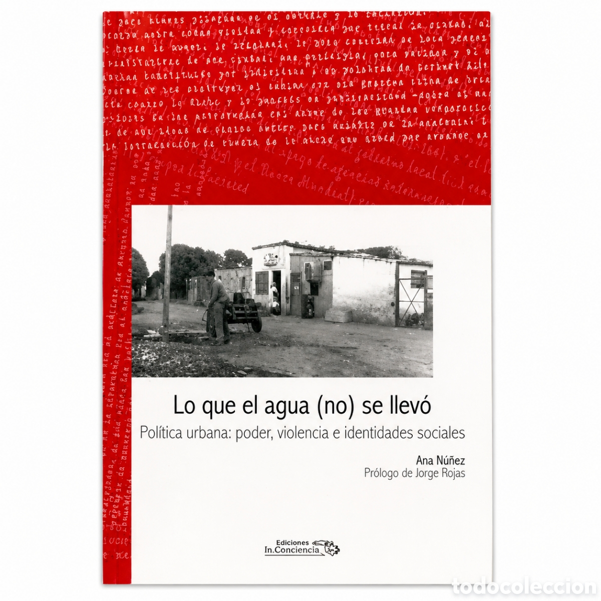 Libros: Ana N&uacute;&ntilde;ez &mdash; Lo que el agua (no) se llev&oacute;. Pol&iacute;tica urbana: poder, violencia e identidades &ndash; LMD